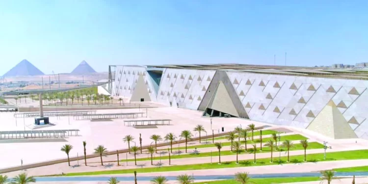على ماهر.. الفوز على أنيمبا وبلاك بولز.. ضرورى