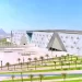 على ماهر.. الفوز على أنيمبا وبلاك بولز.. ضرورى