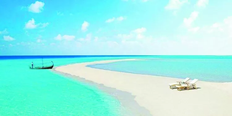 صفقات «الميركاتو» «مرموش» فى السيتى ..و«الأناكوندا» فى آينتراخت