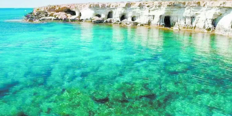 مواجهة عربية لعمالقة أوروبا فى مونديال اليد