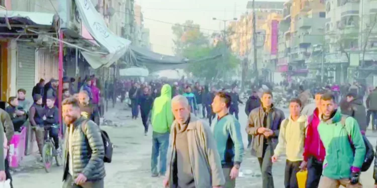 الفلسطينيون: شكراً لـ «الكبيرة مصر» شعباً وجيشاً 1 - جريدة الجمهورية كولر يطالب «كاف» بـ «الفار» .. والدولار يبعد المارد عن أهدافه