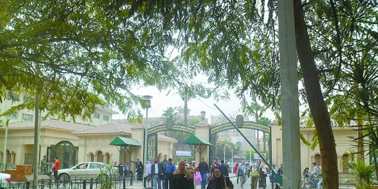 كولر يطالب «كاف» بـ «الفار» .. والدولار يبعد المارد عن أهدافه