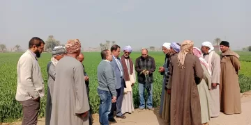رئيس جهاز تحسين الأراضي: زراعة 5750 فدان بالقمح علي مصاطب في 19 محافظة