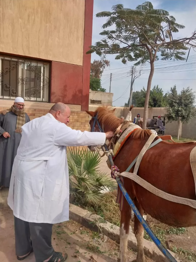 فحص أكثر من ٤٦٥ ألف رأس ماشية وطيور بمبادرة «بداية» بالدقهلية 16 | جريدة الجمهورية