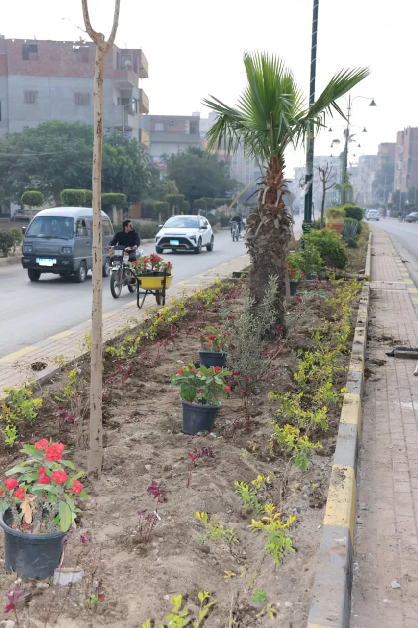 خلال جولته الميدانية: محافظ المنوفية يؤكد على أهمية تلبية احتياجات المواطنين في الباجور 4 | جريدة الجمهورية