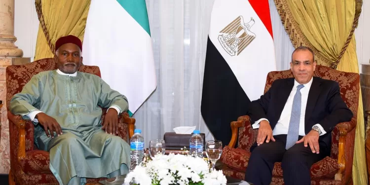 مصر ونيجيريا: شراكة استراتيجية لتعزيز دور الاتحاد الأفريقي