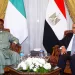 مصر ونيجيريا: شراكة استراتيجية لتعزيز دور الاتحاد الأفريقي