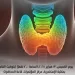 تعرف على «وظائف الغدة الدرقية وأهميتها لصحتك».. محاضرة بمكتبة الإسكندرية غدًا 5 - جريدة الجمهورية تعرف على «وظائف الغدة الدرقية وأهميتها لصحتك».. محاضرة بمكتبة الإسكندرية غدًا