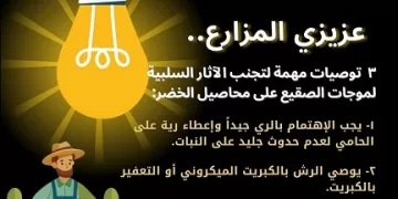 فيديو| «معاك في الغيط» تنشر توصيات هامة لتجنب آثار البرودة على زراعات الخضر