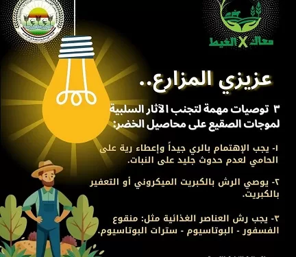 فيديو| «معاك في الغيط» تنشر توصيات هامة لتجنب آثار البرودة على زراعات الخضر 1 - جريدة الجمهورية فيديو| «معاك في الغيط» تنشر توصيات هامة لتجنب آثار البرودة على زراعات الخضر