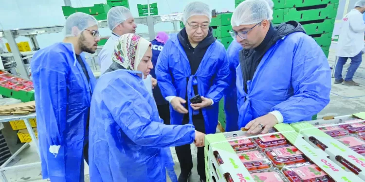 خلال زيارته محطات التصدير بالبحيرة: وفد الجمارك الصينية يشيد بجودة الصادرات الزراعية