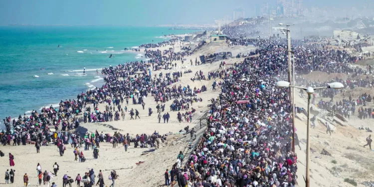 وهم التهجير المستحيل: الأرض.. الحدود.. السيادة الوطنية.. ثلاثية مصرية مقدسة 1 - جريدة الجمهورية وهم التهجير المستحيل: الأرض.. الحدود.. السيادة الوطنية.. ثلاثية مصرية مقدسة