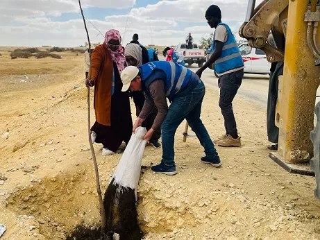 100 متطوع من أفريقيا يشاركون في زراعة الطرق المؤدية لمحميات الفيوم 12 | جريدة الجمهورية