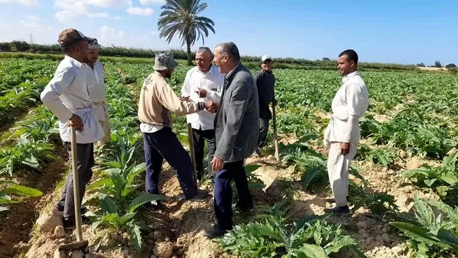 مبادرات مكثفة من وزارة الزراعة لتطوير القطاع الزراعي في مطروح 6 | جريدة الجمهورية