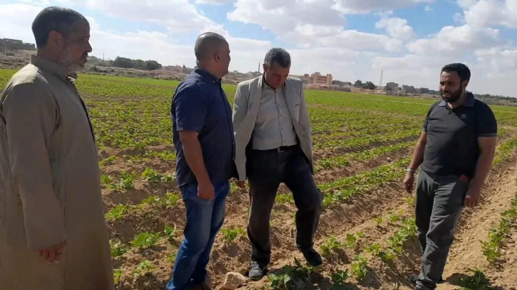 مبادرات مكثفة من وزارة الزراعة لتطوير القطاع الزراعي في مطروح 8 | جريدة الجمهورية