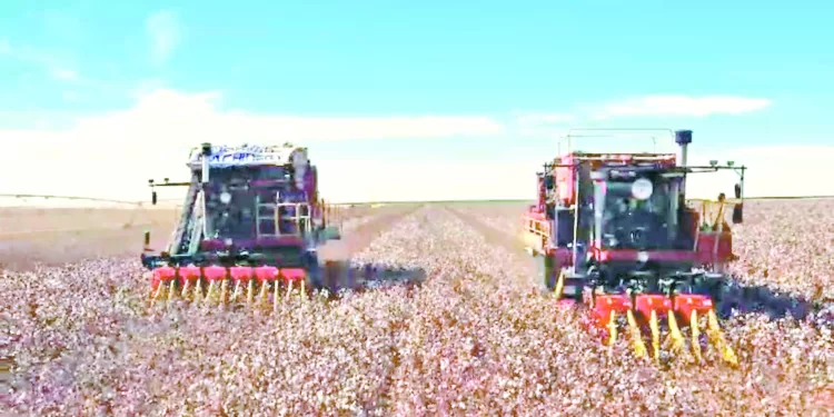 ليلة تاريخية لبيراميدز.. وشروط خاصة لاحتراف «إبراهيم عادل»