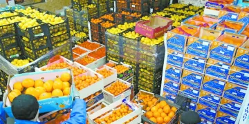 كوتيسا.. صفقة فى مهب الريح
