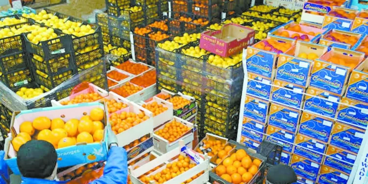 10.6 مليار دولار صادرات زراعية 1 - جريدة الجمهورية كوتيسا.. صفقة فى مهب الريح