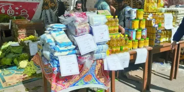 «الوثائقية» تقدم جائزة لأفضل فيلم طلابى  بمهرجان الإسماعيلية الدولى