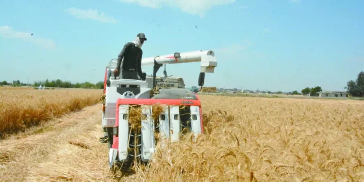 فى الجولة 12 للدورى بيراميدز على القمة بفوز مثير للجدل