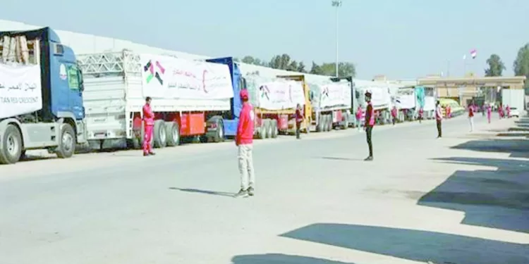 زيزو يطمئن الجماهير