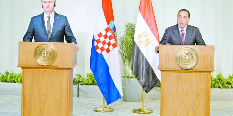 «المستعمرة» يفتتح المسابقة الجديدة.. و«ضى» ينافس ٨ أفلام روائية