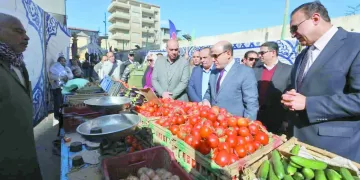 «المستعمرة» يفتتح المسابقة الجديدة.. و«ضى» ينافس ٨ أفلام روائية