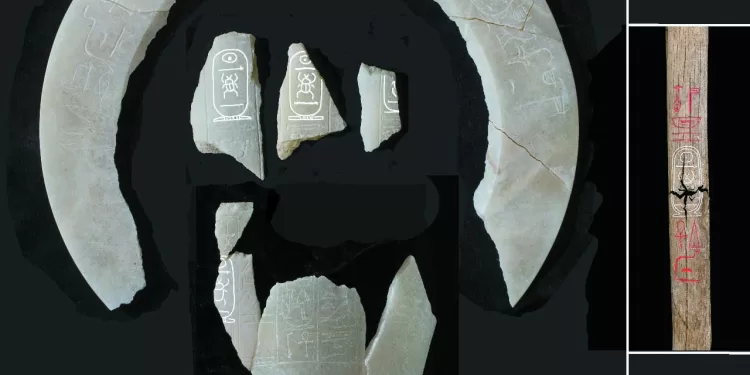 الكشف عن مقبرة الملك تحتمس الثانى 1 - جريدة الجمهورية «المستعمرة» يفتتح المسابقة الجديدة.. و«ضى» ينافس ٨ أفلام روائية