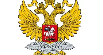 الخارجية الروسية تشكر فلسطين ومصر وقطر بعد إطلاق سراح رهينة روسي