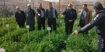 رئيس مركز البحوث الزراعية يتفقد البرامج البحثية بمحطة بحوث سخا