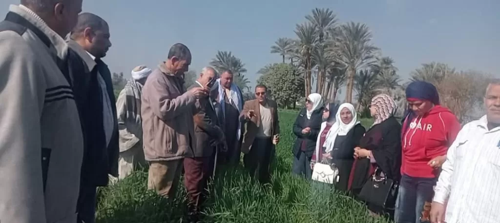 البحوث الزراعية: تنفيذ 2490 نشاطًا إرشاديًا خلال يناير لدعم المزارعين في مختلف المحافظات 22 | جريدة الجمهورية