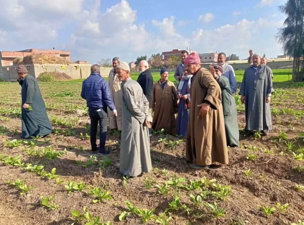 البحوث الزراعية: تنفيذ 2490 نشاطًا إرشاديًا خلال يناير لدعم المزارعين في مختلف المحافظات 16 | جريدة الجمهورية