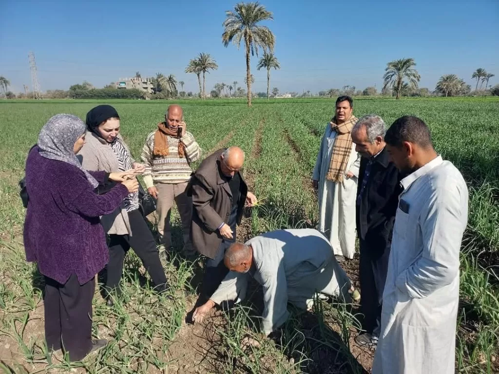 البحوث الزراعية: تنفيذ 2490 نشاطًا إرشاديًا خلال يناير لدعم المزارعين في مختلف المحافظات 18 | جريدة الجمهورية