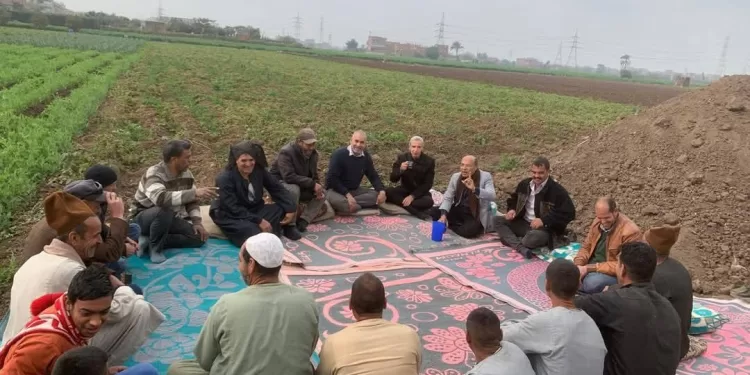 البحوث الزراعية: تنفيذ 2490 نشاطًا إرشاديًا خلال يناير لدعم المزارعين في مختلف المحافظات