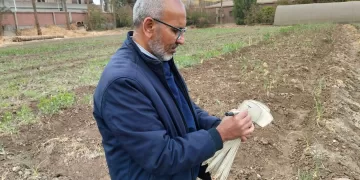 «المركزي للزراعة العضوية» يُطلق تجاربه الحقلية لتقييم المخصبات الحيوية