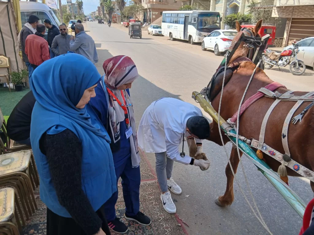 500 مواطن يستفيدون من القافلة الصحية والبيطرية المجانية بالدقهلية 28 | جريدة الجمهورية