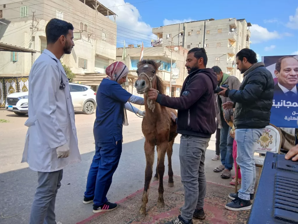 500 مواطن يستفيدون من القافلة الصحية والبيطرية المجانية بالدقهلية 32 | جريدة الجمهورية