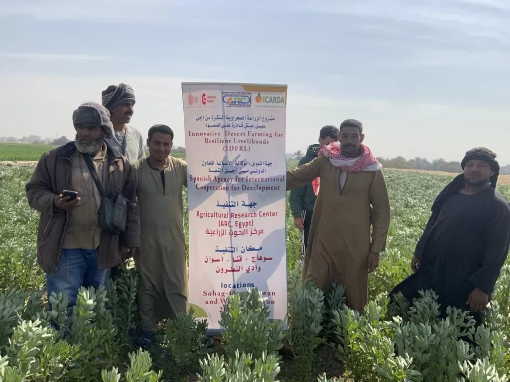 معهد بحوث المحاصيل الحقلية يُطلق مبادرات إرشادية جديدة لدعم المزارعين في الشتاء 2 | جريدة الجمهورية