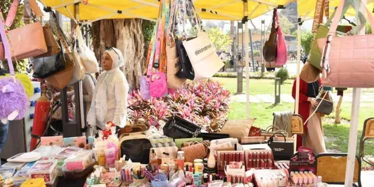 تكريم طلاب كلية العلوم الفائزين بالمراكز الأولى في مسابقة «SOLE 2025» للتكنولوجيا