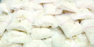 «المستعمرة» يفتتح المسابقة الجديدة.. و«ضى» ينافس ٨ أفلام روائية