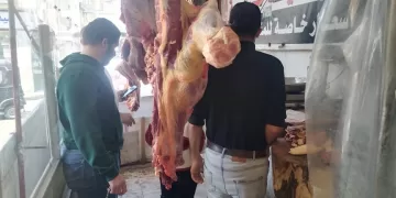 حملات تموينية مكثفة في كفر الشيخ لضبط الأسعار ومراقبة الجودة