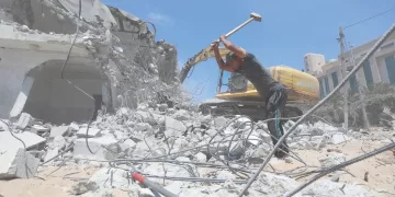 « الأرض».. تحمى «القضية»