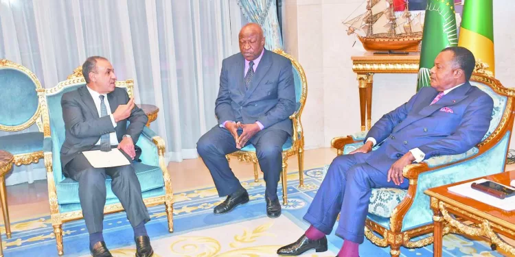 رسالة من السيسى إلى دنيس ساسو نجيسو: مستعدون لدعم الكونجو فى خطة التنمية الوطنية