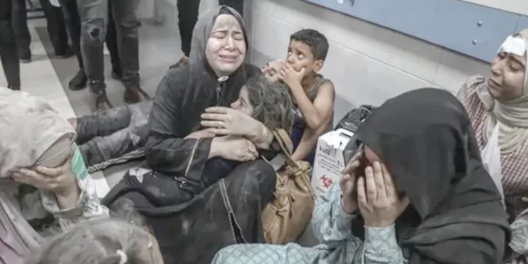 أرقام صادمة حول أوضاع الفلسطينيات بقطاع غزة 1 - جريدة الجمهورية بعد وداع كأس مصر.. مودرن يشكو التحكيم