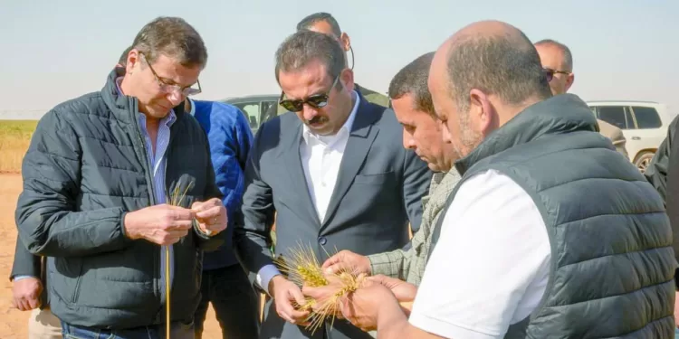 مستقبل مصر يساهم فى زيادة الرقعة الزراعية 1 - جريدة الجمهورية مستقبل مصر يساهم فى زيادة الرقعة الزراعية