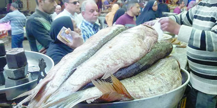 الأسماك سفرة أول أيام عيد الفطر 1 - جريدة الجمهورية مرموش يلتقى «حبات الكرز»