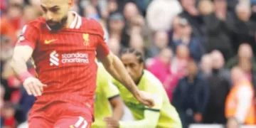 قبل التوقف الدولى.. «الجبلاية» تعتمد مباريات ربع نهائى الكأس