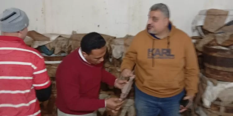 ضبط 7 أطنان رنجة وأسماك مملحة وفسيخ مخالفة في الدقهلية