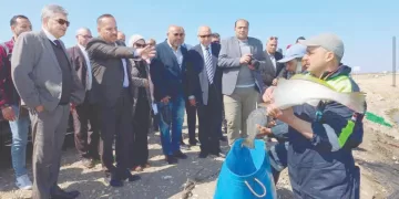 بطاقة 7 أطنان يوميًا: قناة السويس  تطلق مصنعًا عملاقًا لتعبئة الأسماك والجمبرى 