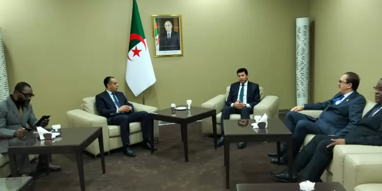 مصر والجزائر تتفقان على تعزيز التعاون الرياضي وتطوير المبادرات الإفريقية